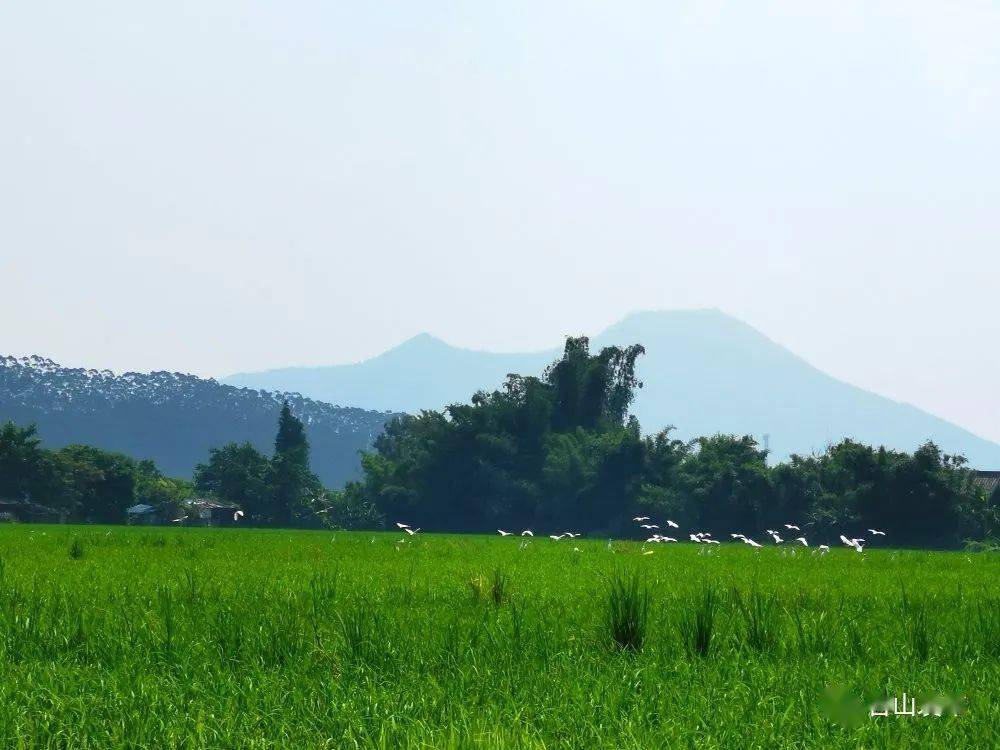 端芬大隆洞石化山公园,金星湖湿地公园,镇海湾红树林国家湿地公园