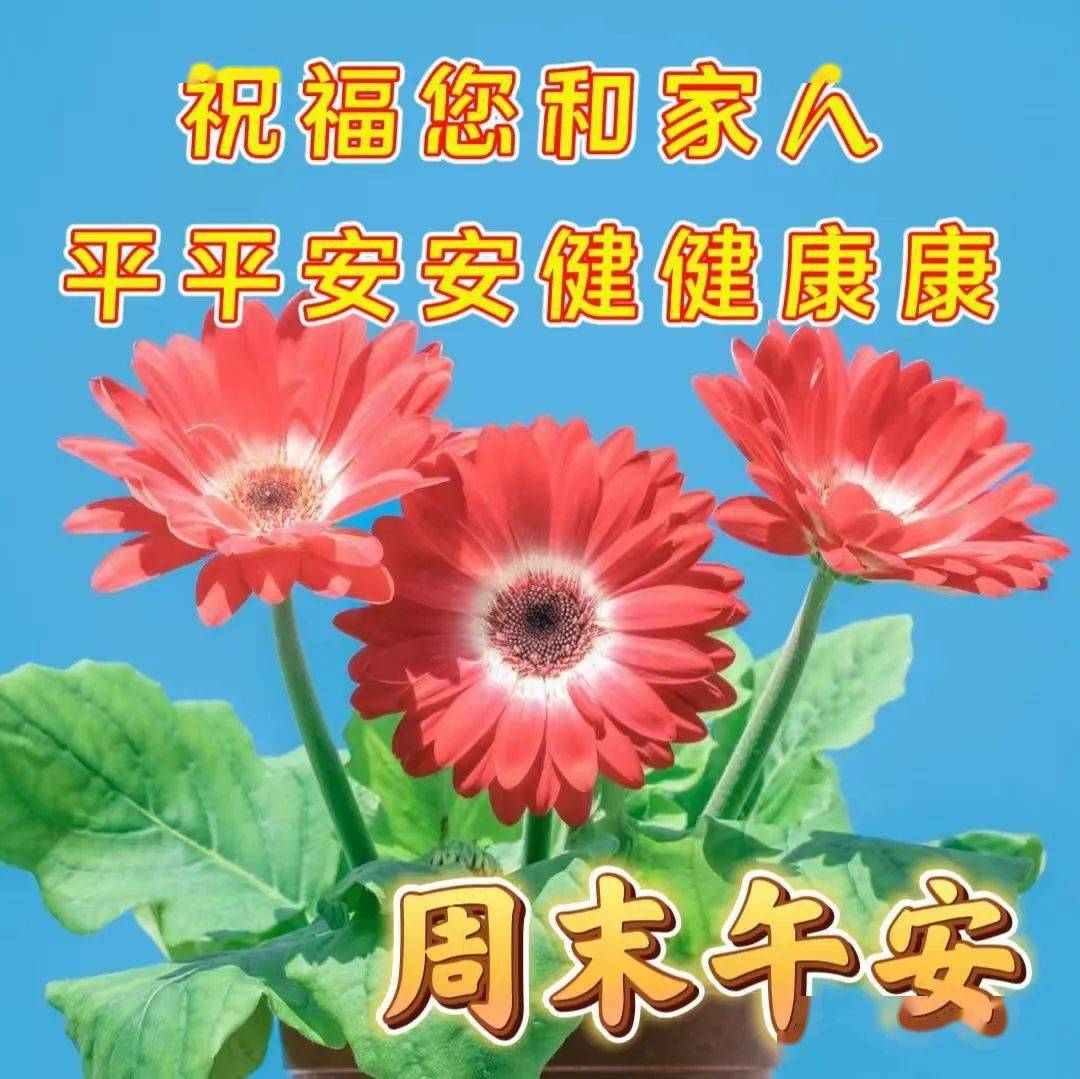 周末暖心祝福图片带字带问候祝福语