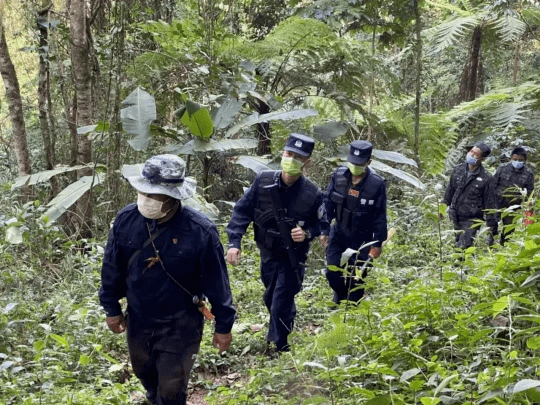 云南边防316旅简介图片