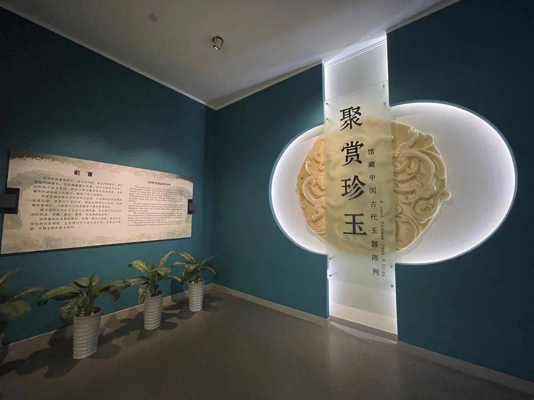 天津博物馆“聚赏珍玉”上新：呈现历代玉器概貌
