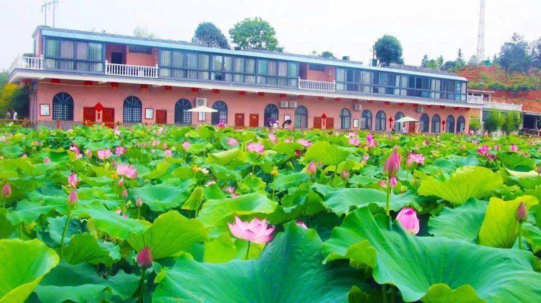 【上饶天下show之德兴市】私藏的德兴两日游旅游路线,假期出游就选它!