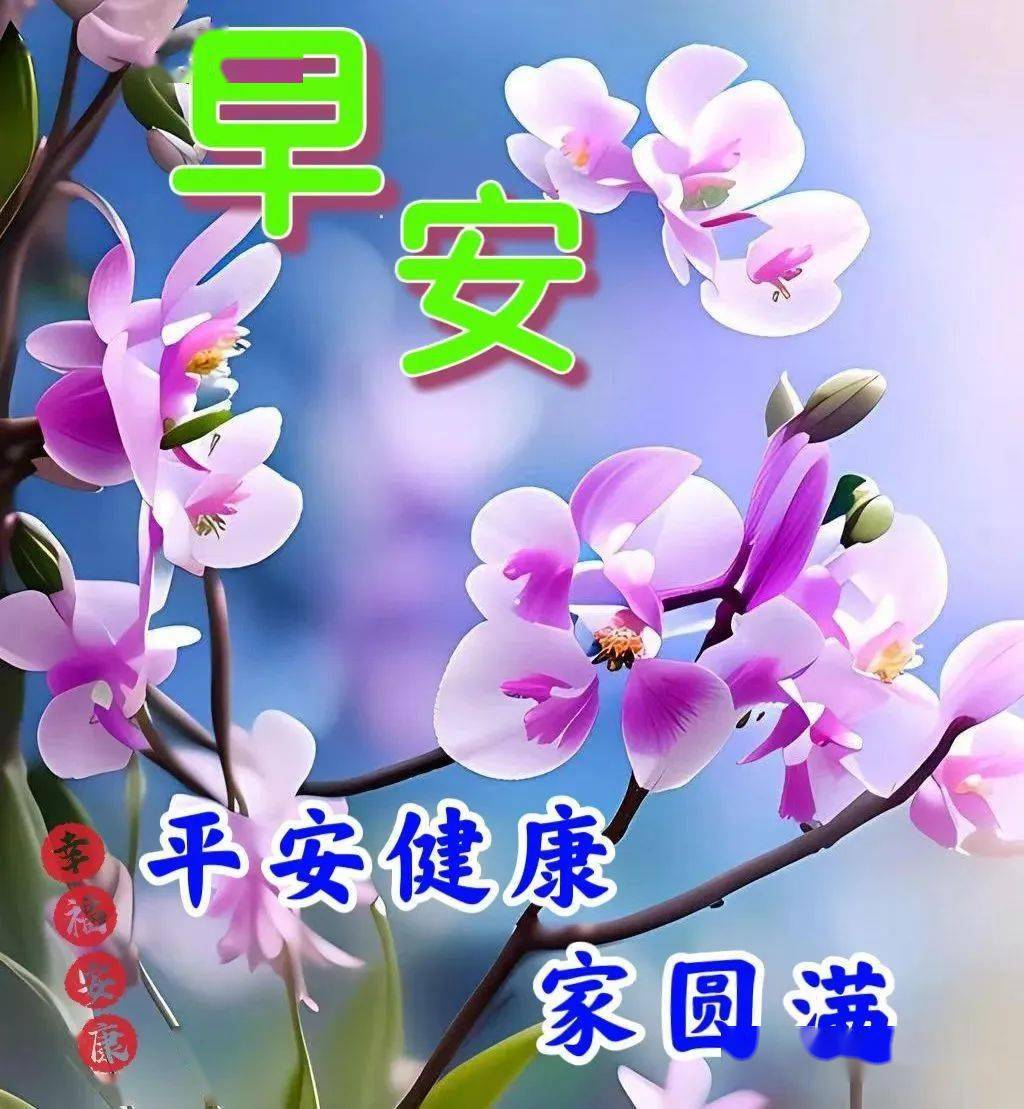 老年人早安图图片