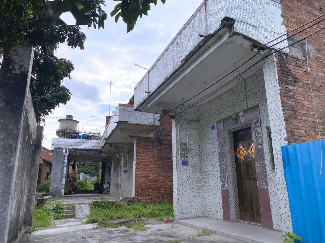 厉害了,园洲这条村竟然有7个姓氏!_高头村_熊屋_村民