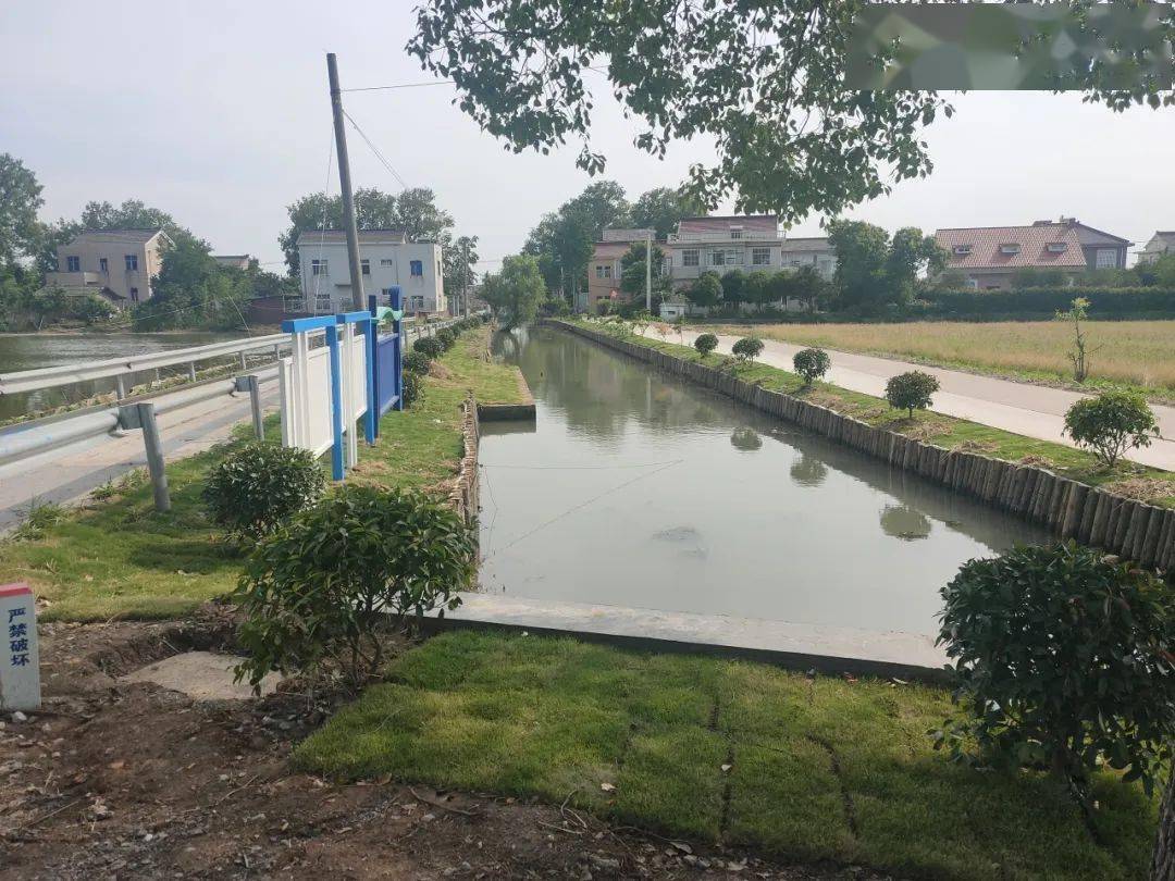 整改前后对比果然不一样_扬中市_八桥镇_生态