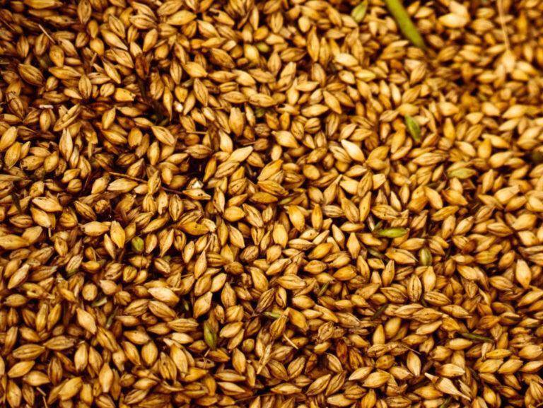 「中威网·邱德夫」专栏 :再论风土