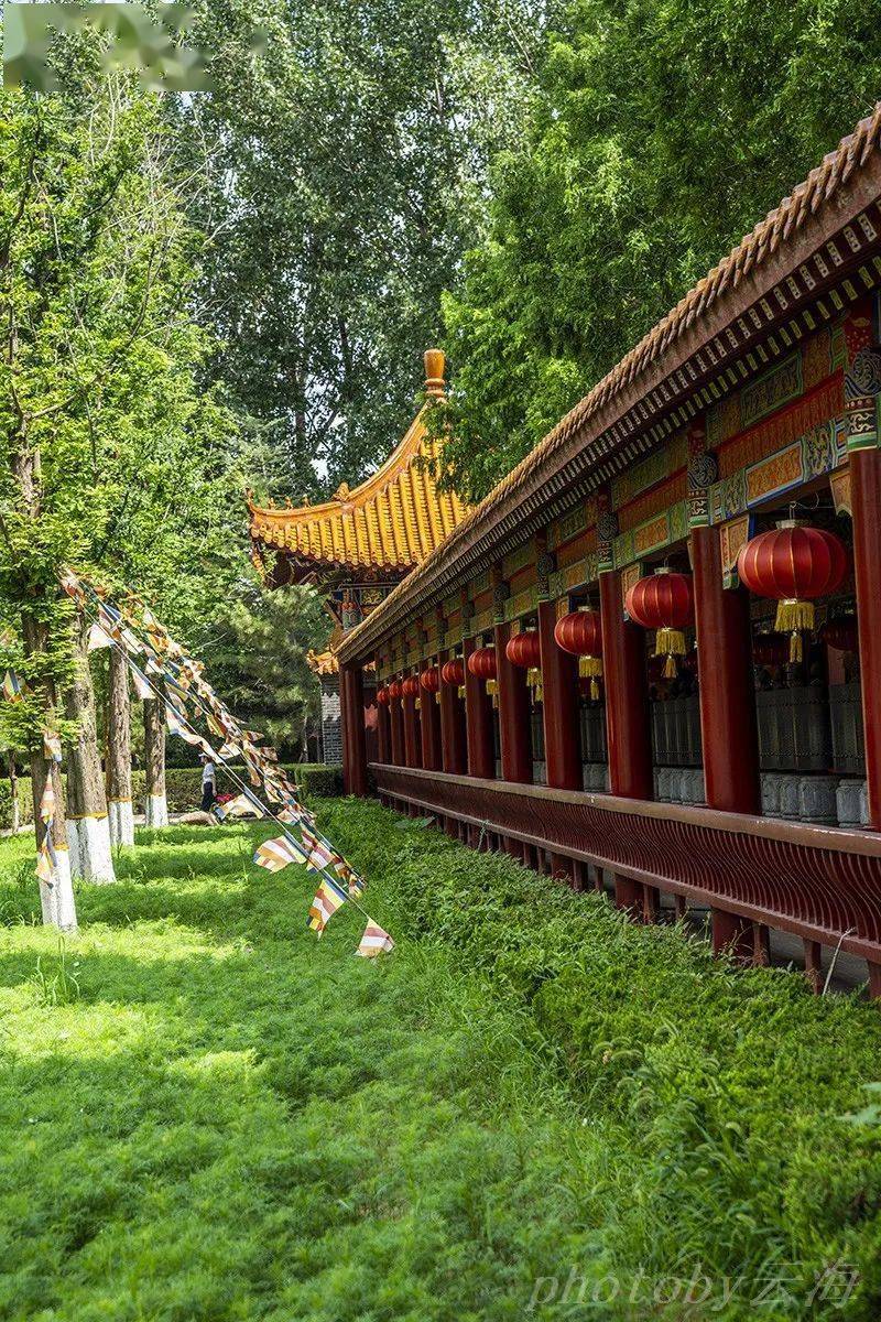 【漫行潍坊】金泉寺,金宝佛教文化园_摩尼_殿堂_公元