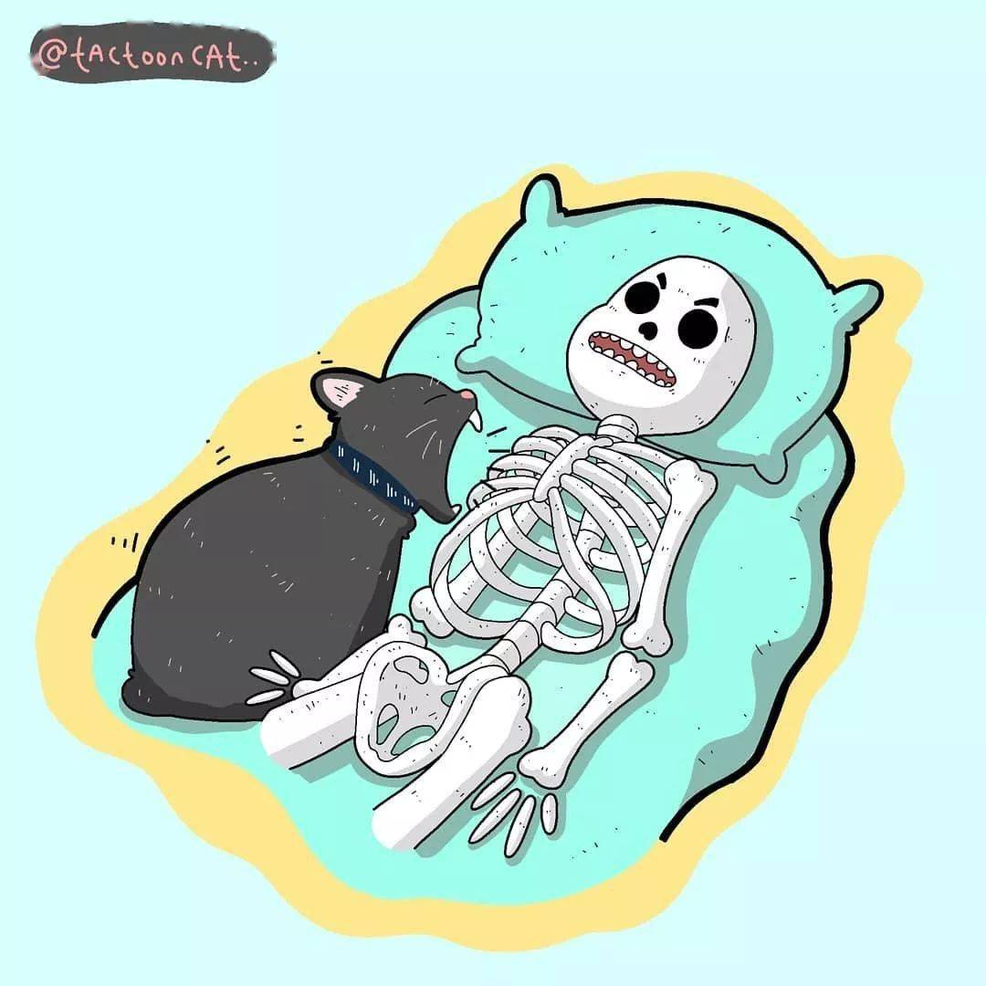 沙雕逗比的猫咪插画,每一张都让你笑到肚子疼!_santoso_rocky_作品