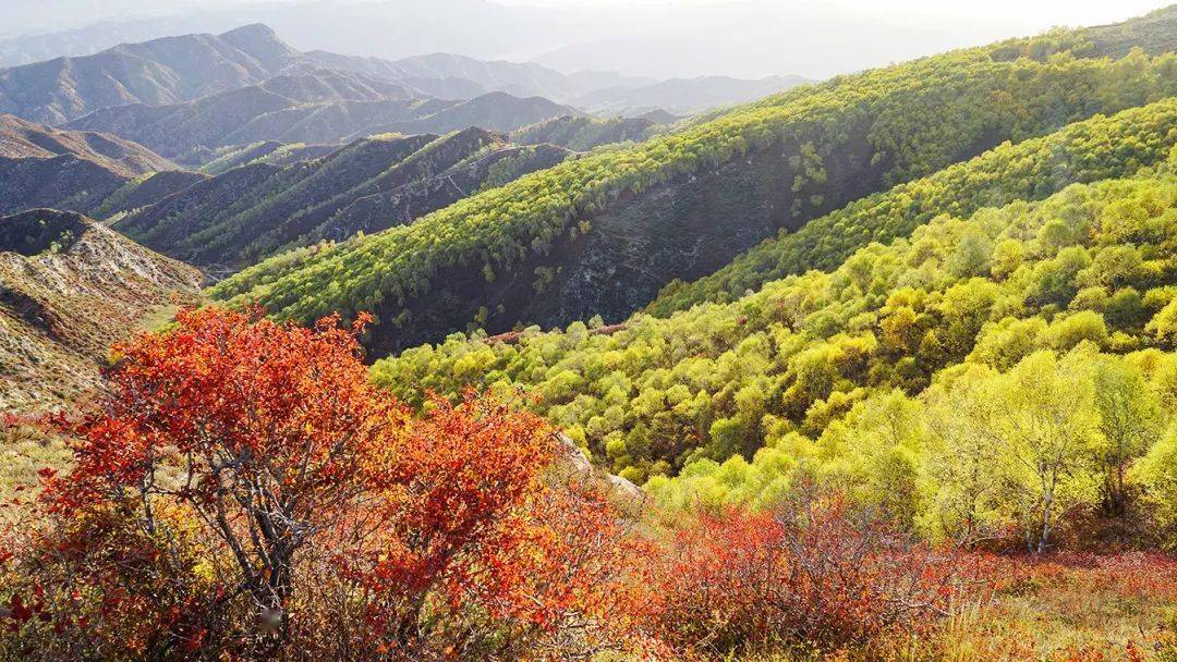 当"多巴胺" 的风吹到了固阳县马鞍山~_杨建清_刘佳乐_张颖强