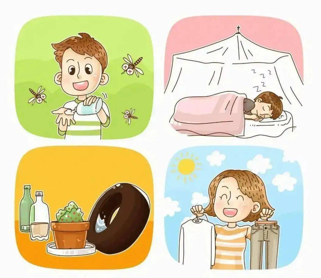 夏天有一种热,叫"登革热"!_积水_蚊子_什么