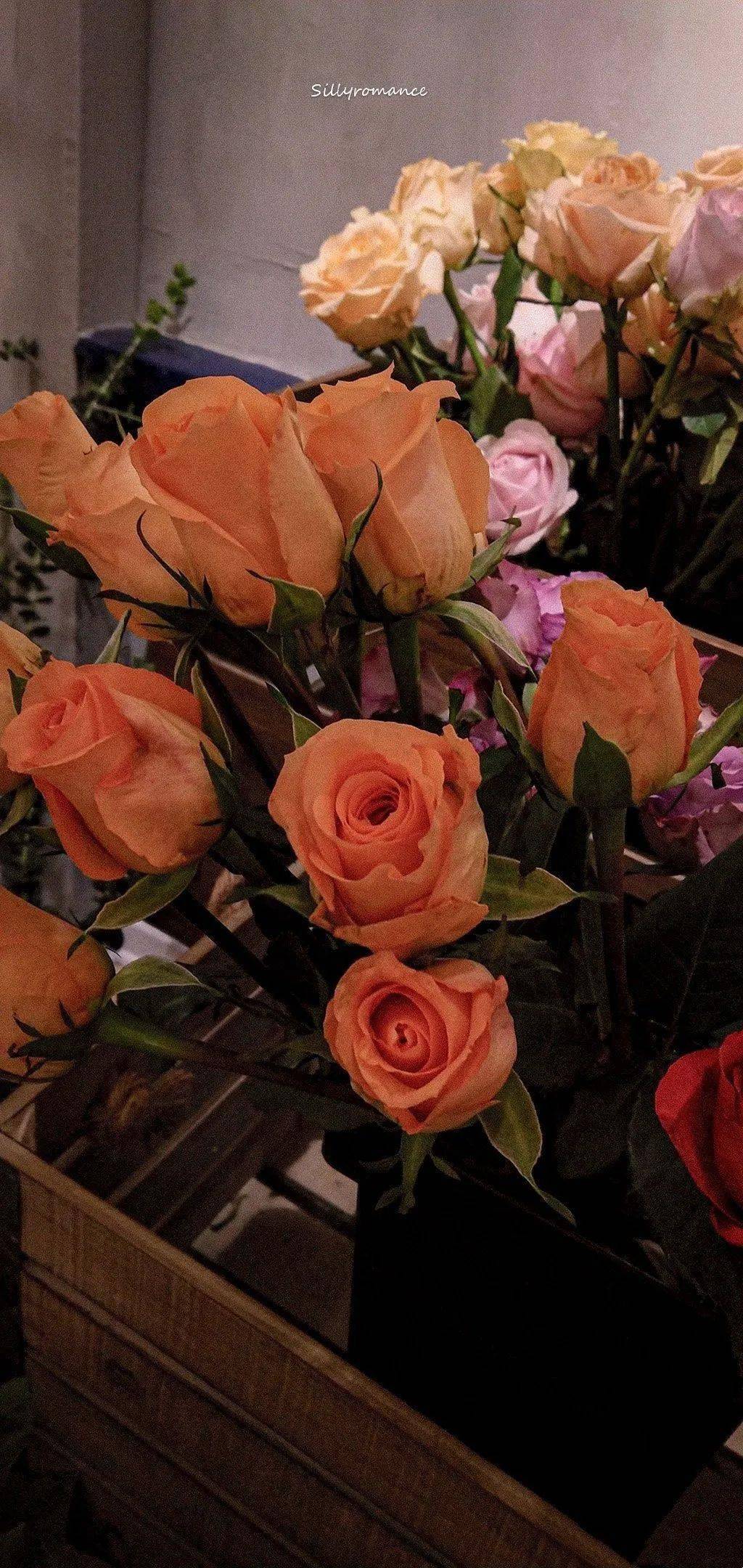 壁纸| 总有一张你喜欢的壁纸叭_氛围