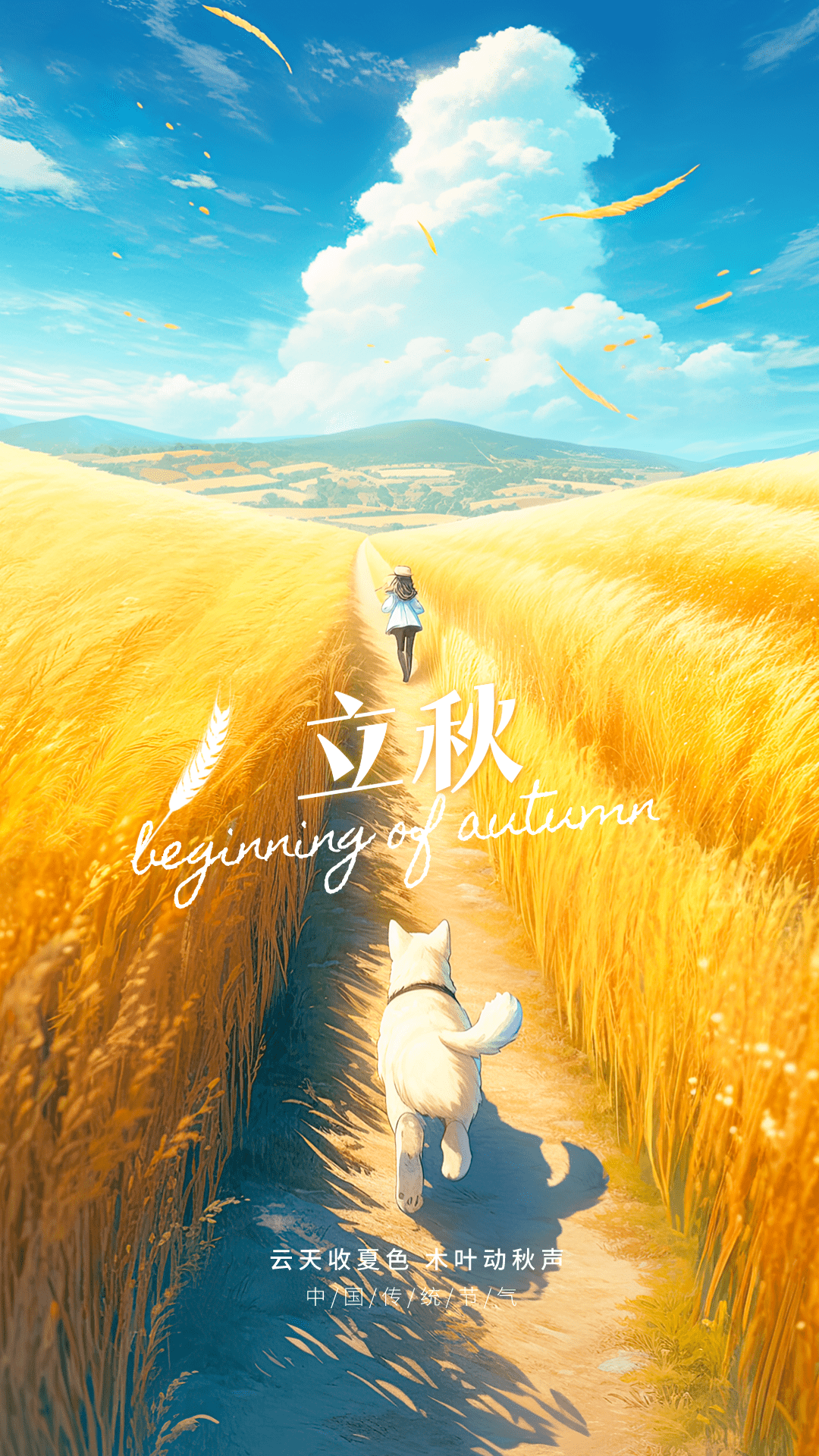 立秋海报来袭
