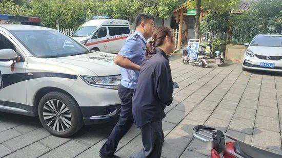 "落难"游隼被救/非法营运,查/使用假导游证,拘(更多)_张家界_文化