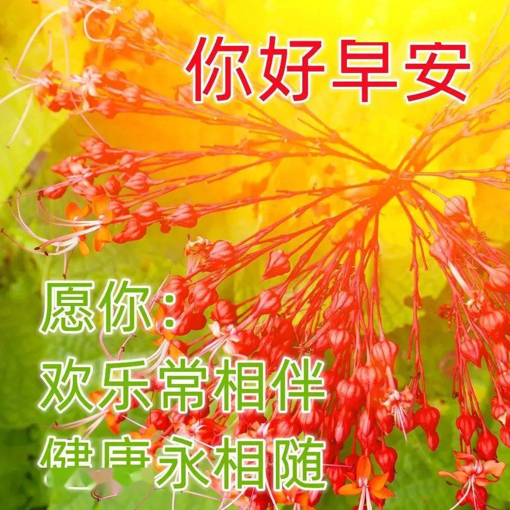 今日最新早上好图片大全,祝福问候,一切美好!_人生_事情_空间