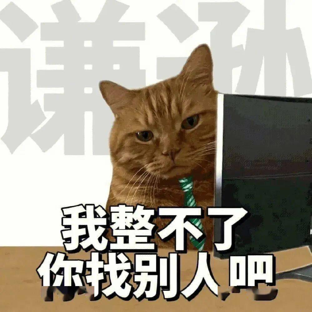 当我拿出『万能表情包』阁下又该如何应对?_cr_网络_风格