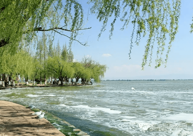 攻略拿去~_民族村_云南_昆明