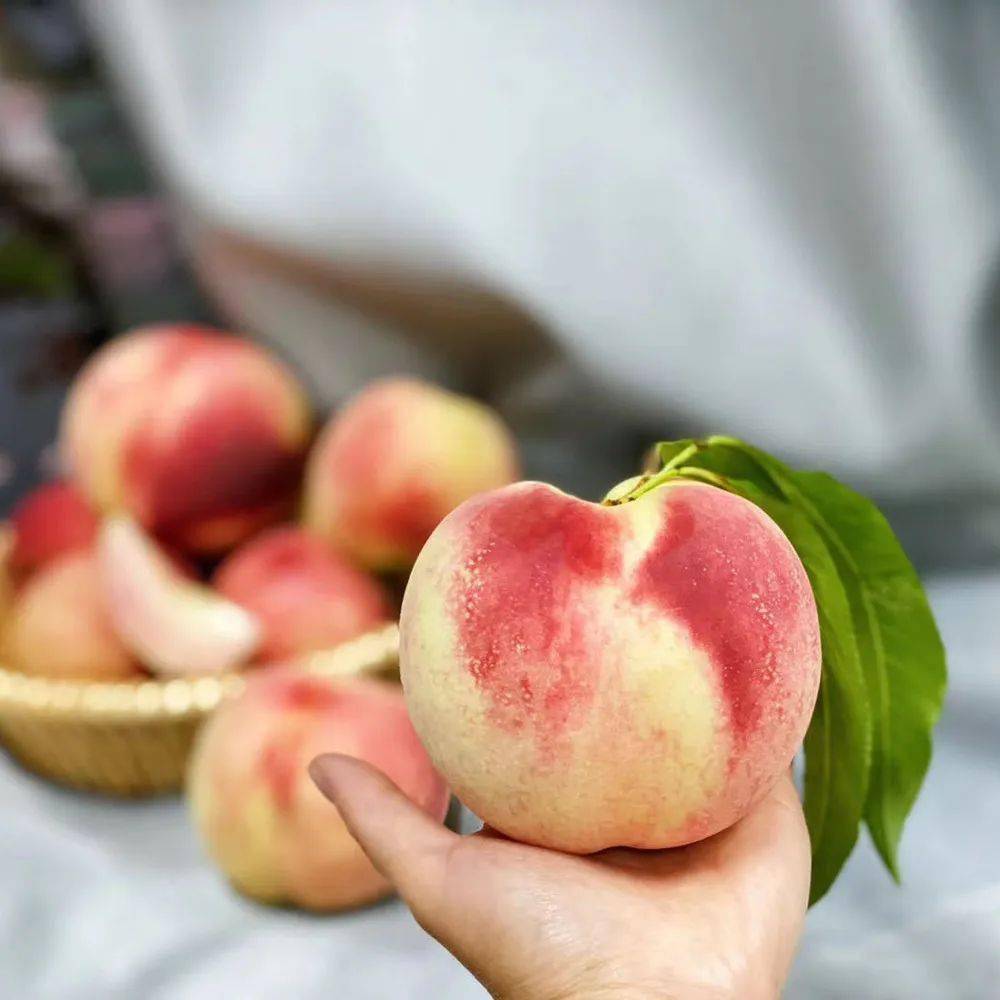 【精品玉露水蜜桃】开团价仅49.9元一箱!桃中"白富美"就是它!