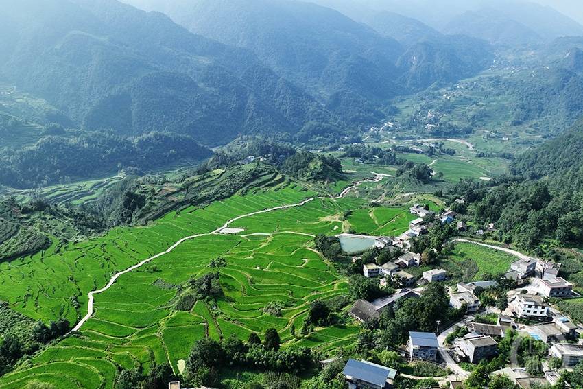 梯田农家美如画_高坪村_种植_水稻