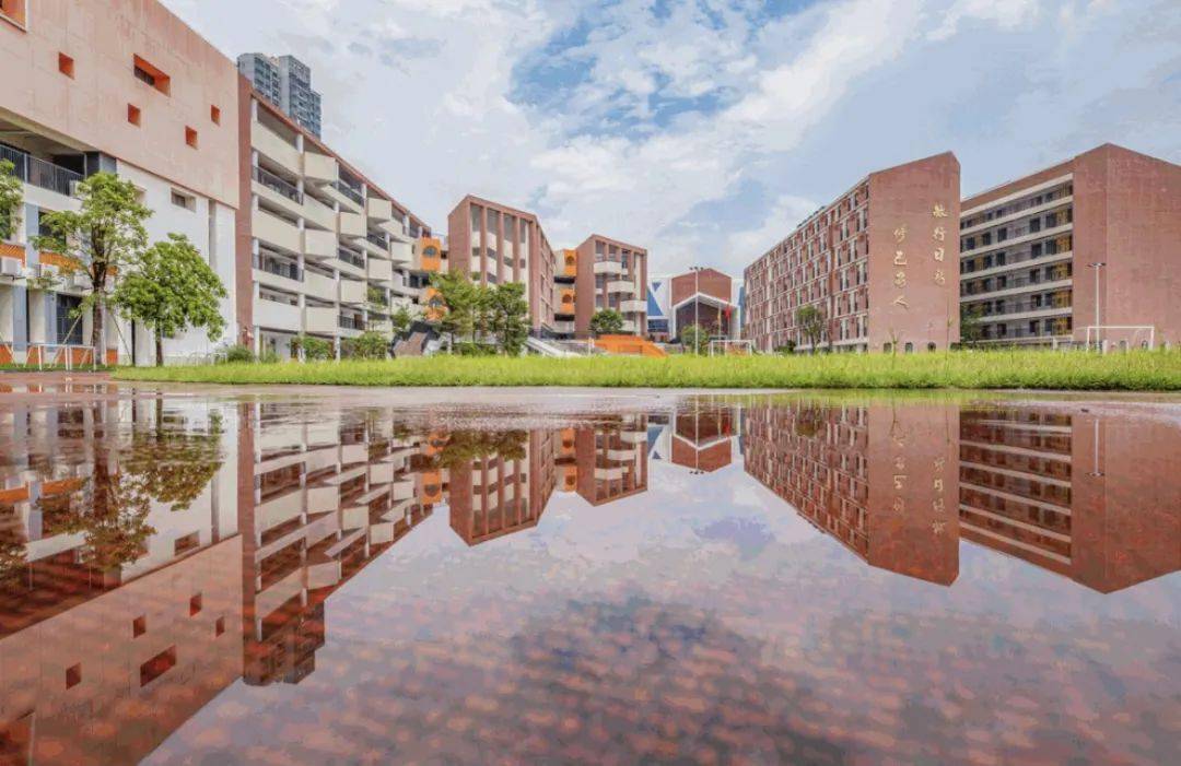 【遇见·南外,与幸福同行】——一年级新生入学指南(一)_孩子_小学