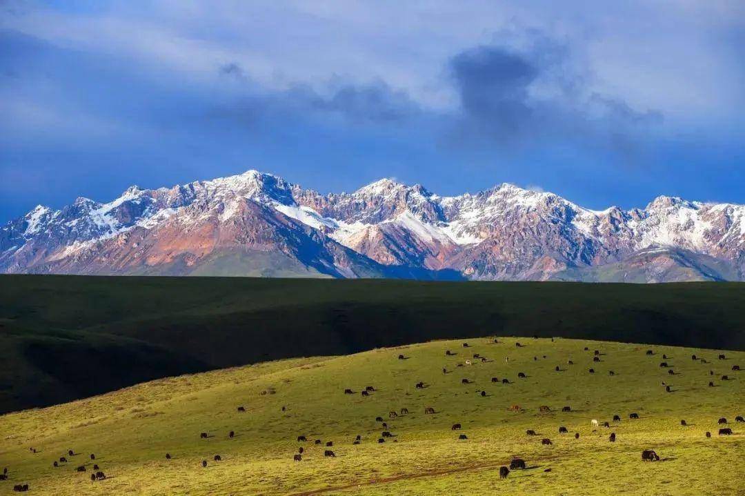 甘孜的新龙县_拉日马_寺庙_草原