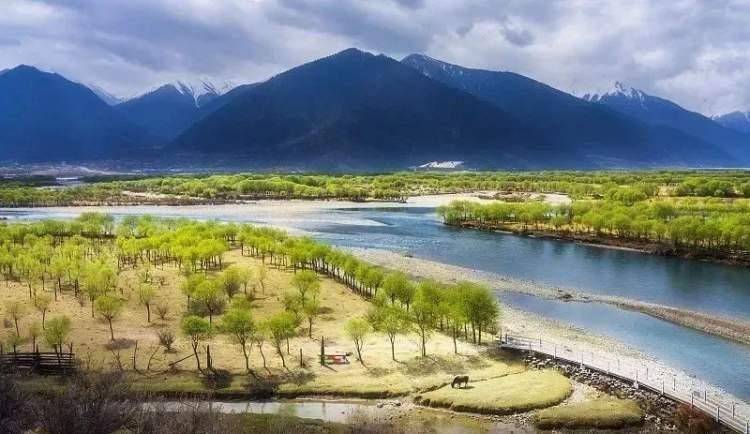 盛夏时节,雅尼国家湿地公园风景如画.