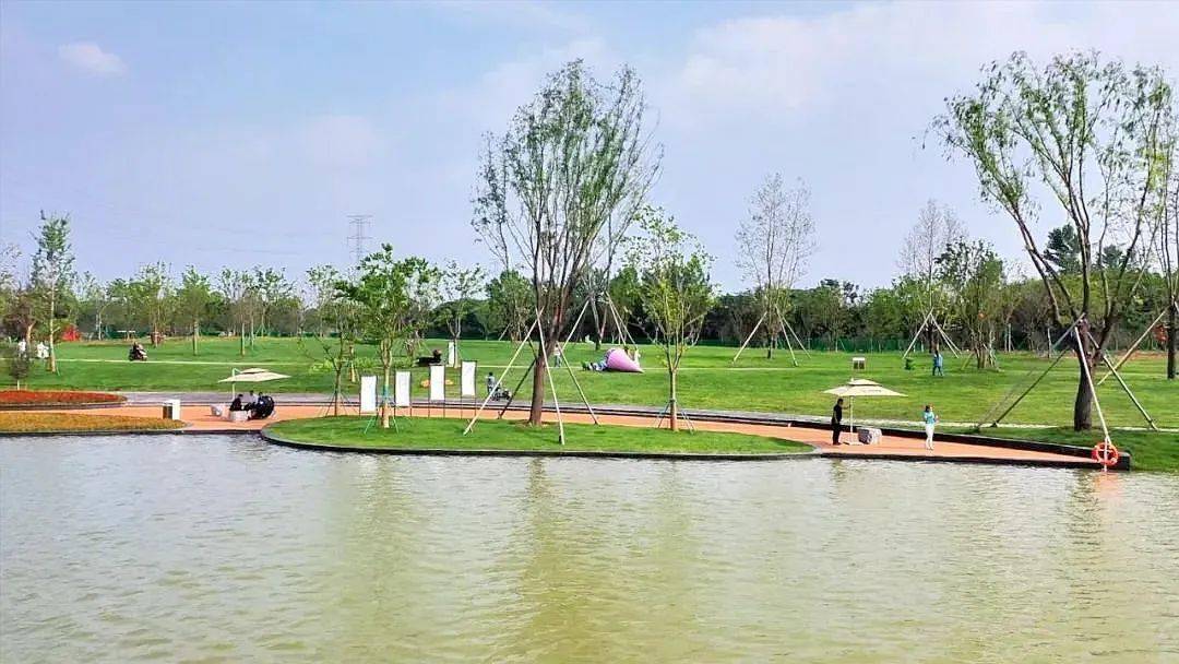 新晋网红打卡地!宿迁龙窝潭生态安全缓冲区投入使用_建设_泗阳县_项目