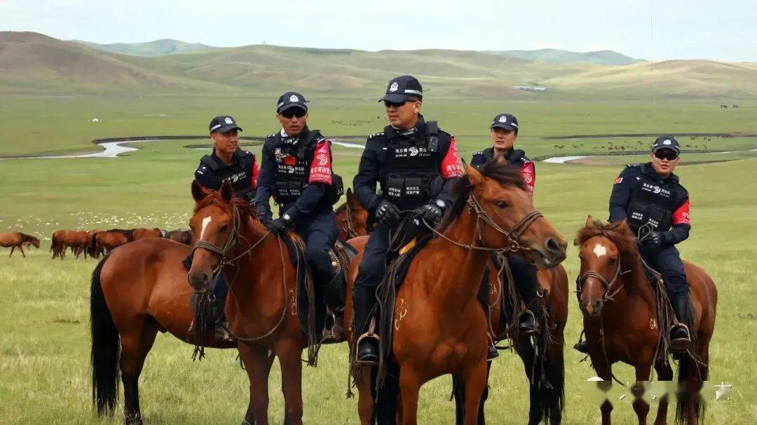 驰骋草原的平安使者:内蒙古海东青骑警队让游客直呼太帅了