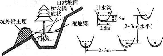 网红景点鱼鳞坝与鱼鳞坑有何不同?_观测_飞机_飞行轨迹