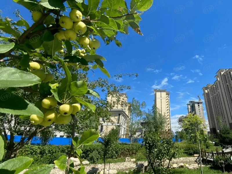 卢龙宏屹国际城二期图片