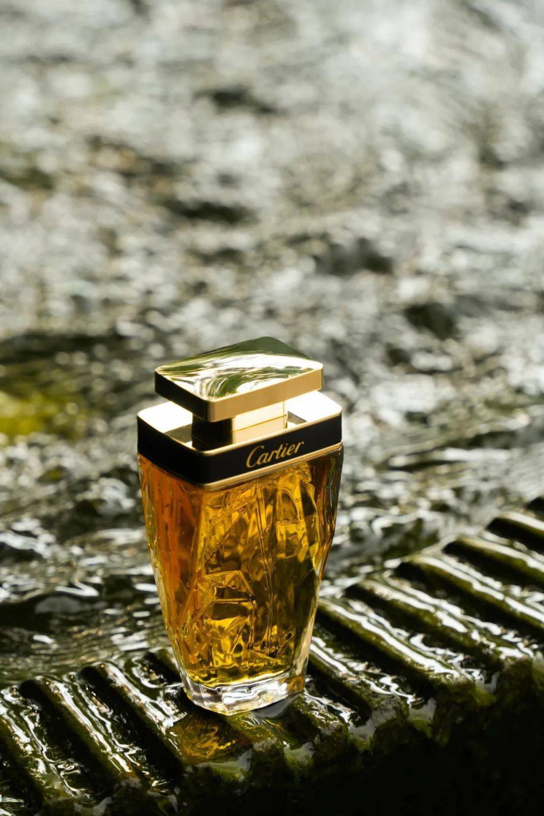 夏日里的迷人豹影_猎豹_卡地亚_香水