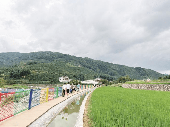 【媒体关注平和】平和县高坑村:"农文旅"融合出圈 亲子游开怀一"夏"