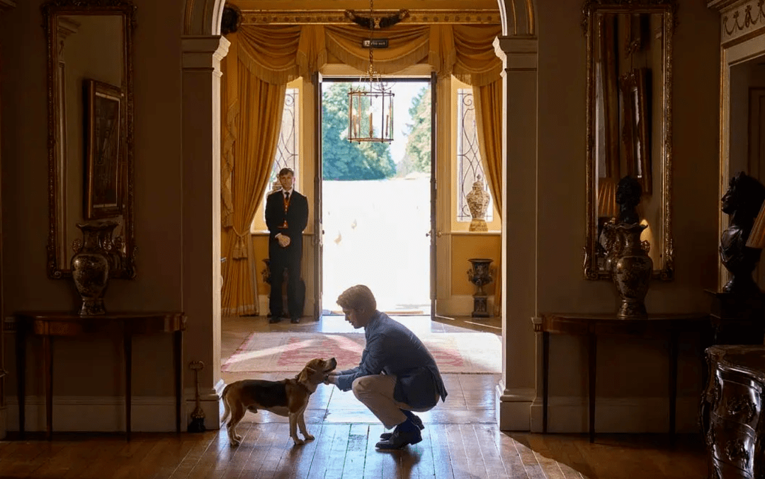 不了解用餐礼仪会被贵族嘲笑,但他在人群里弯腰张望王子的姿态就像