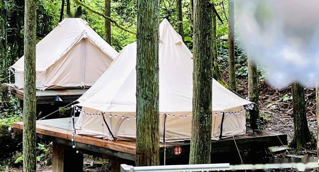 摩围山2023美食音乐会启幕,免门票畅玩!_夏天_内容_季节