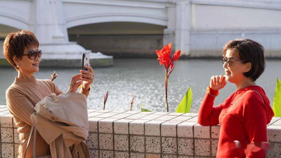 街拍黄浦丨首个全国生态日,看"生态黄浦"_绿化_家园_人民公园