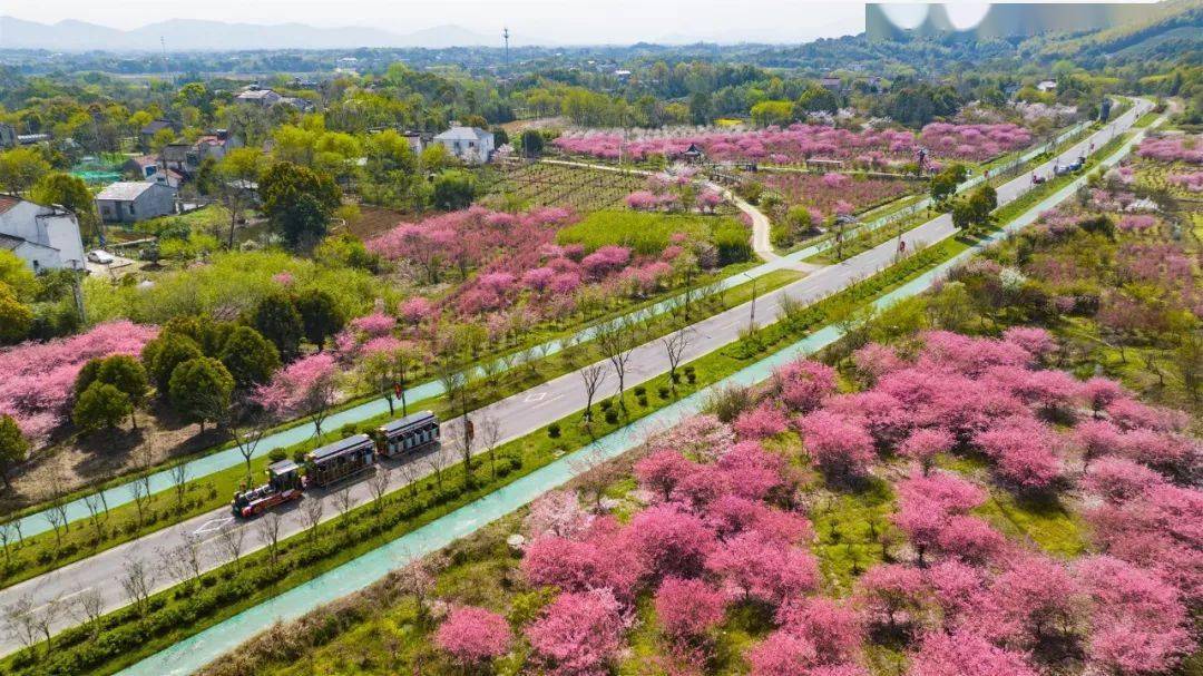 小兴带你看宜兴,一起去西渚!_活动_乡村旅游_白塔村