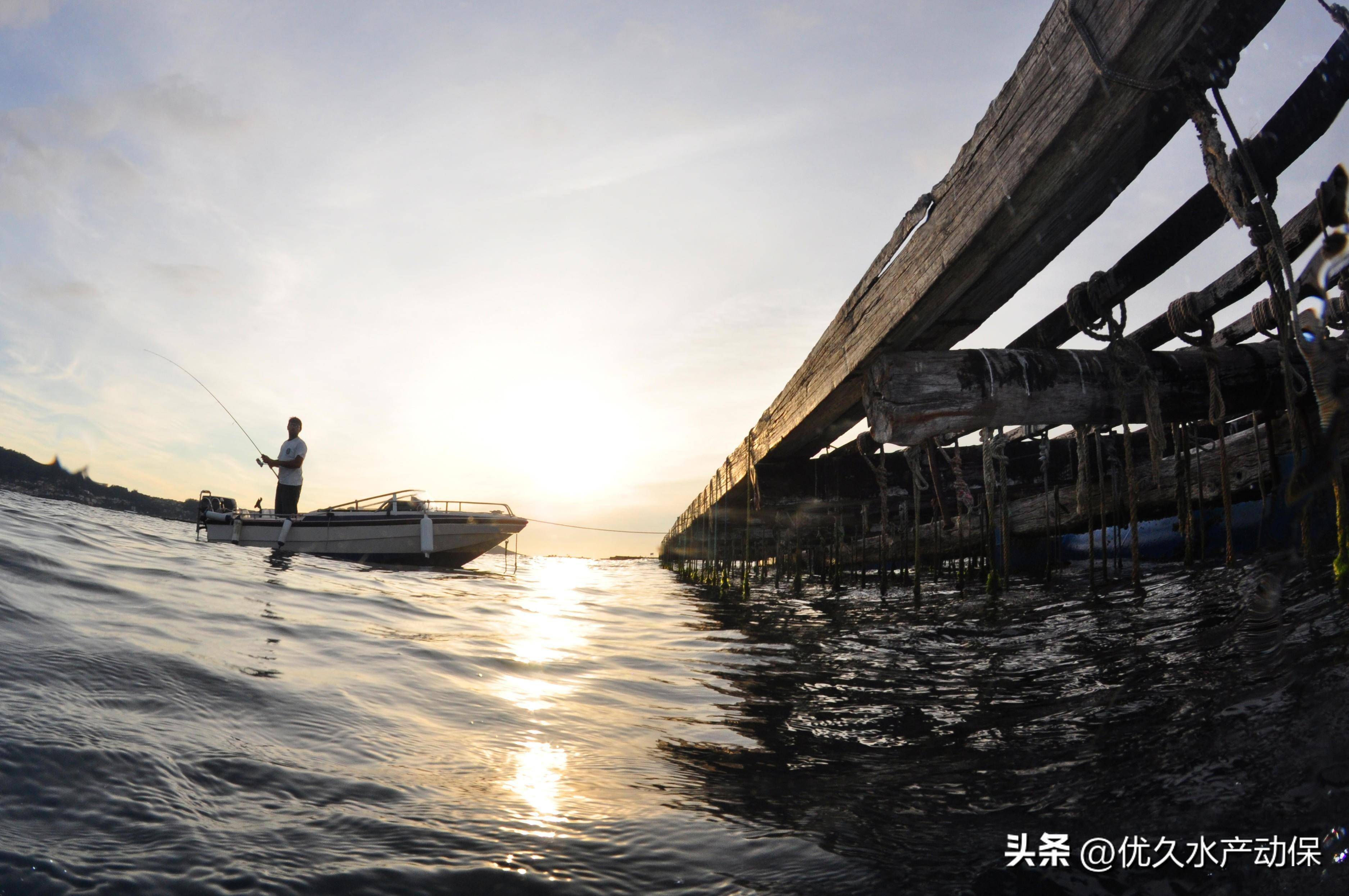 确保道路畅通并恢复供电;二是要抢修损毁的池埂,拦鱼设施,进排水系统