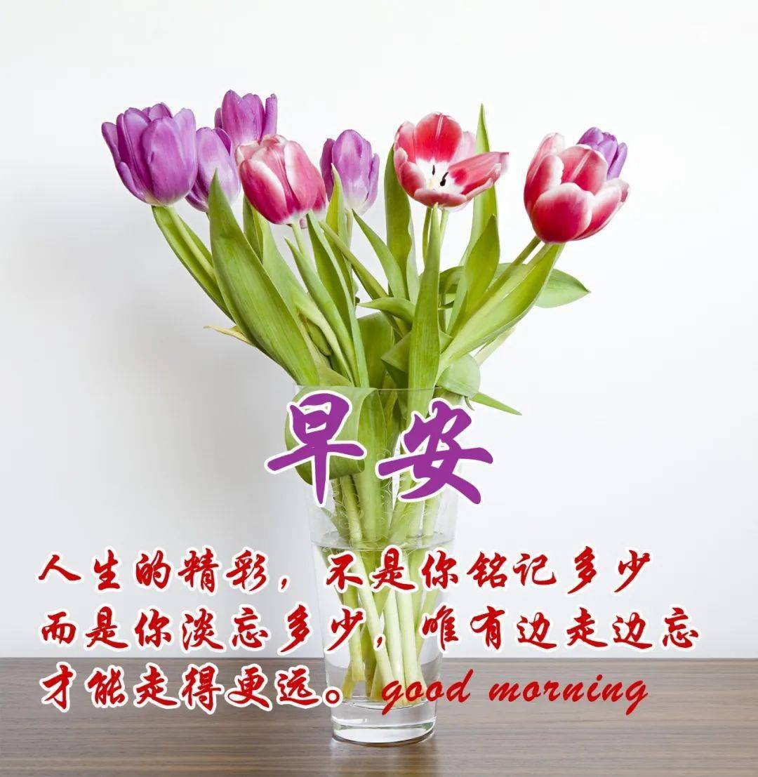 今日最新早安早上好精选平平安安幸幸福福