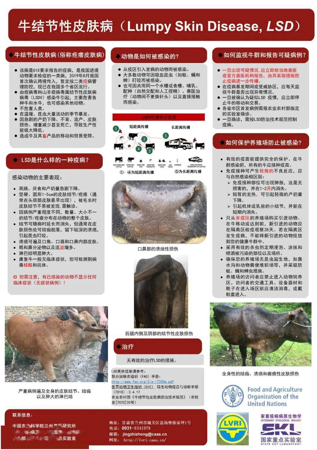 牛结节性皮肤病最新概况