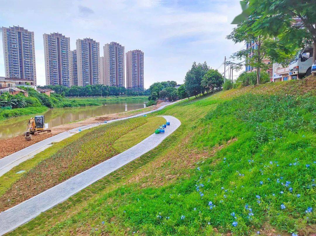 九潭要新建一个公园,附近的街坊有福啦!_园洲镇_建设_幸福感