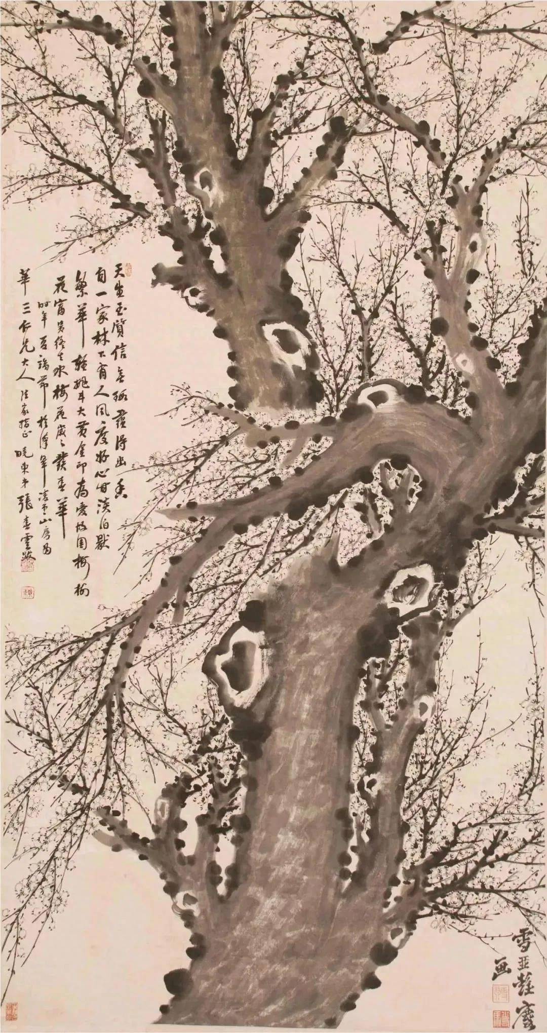 他画十万梅花,寄托一生爱恋_彭玉麟_梅姑_竹宾