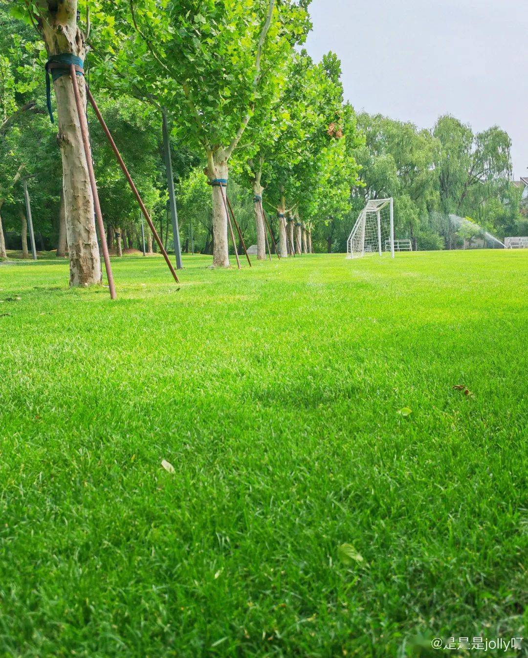 大草坪,各种小动物…堪称遛娃宝地!_紫玉_山庄_创意