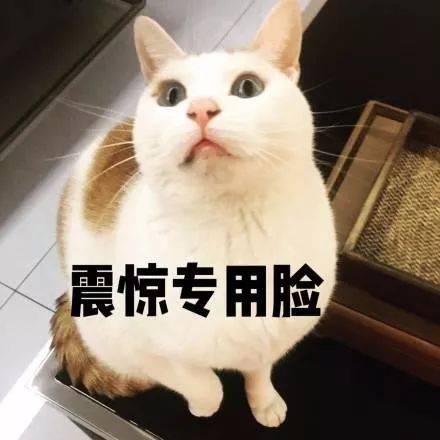 这是不花钱就能看的吗？是！