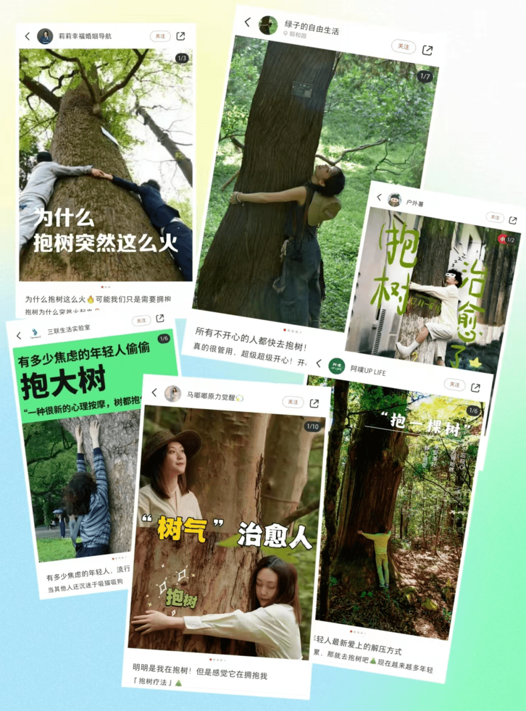 这届年轻人,开始流行街头抱树!大良哪些树抱着更过瘾?_新滘_树龄_公园
