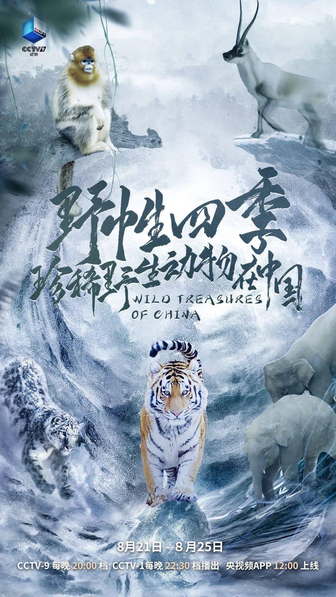 世界级野生动物纪录片《野性四季：珍稀野生动物在中国》即将播出，讲述