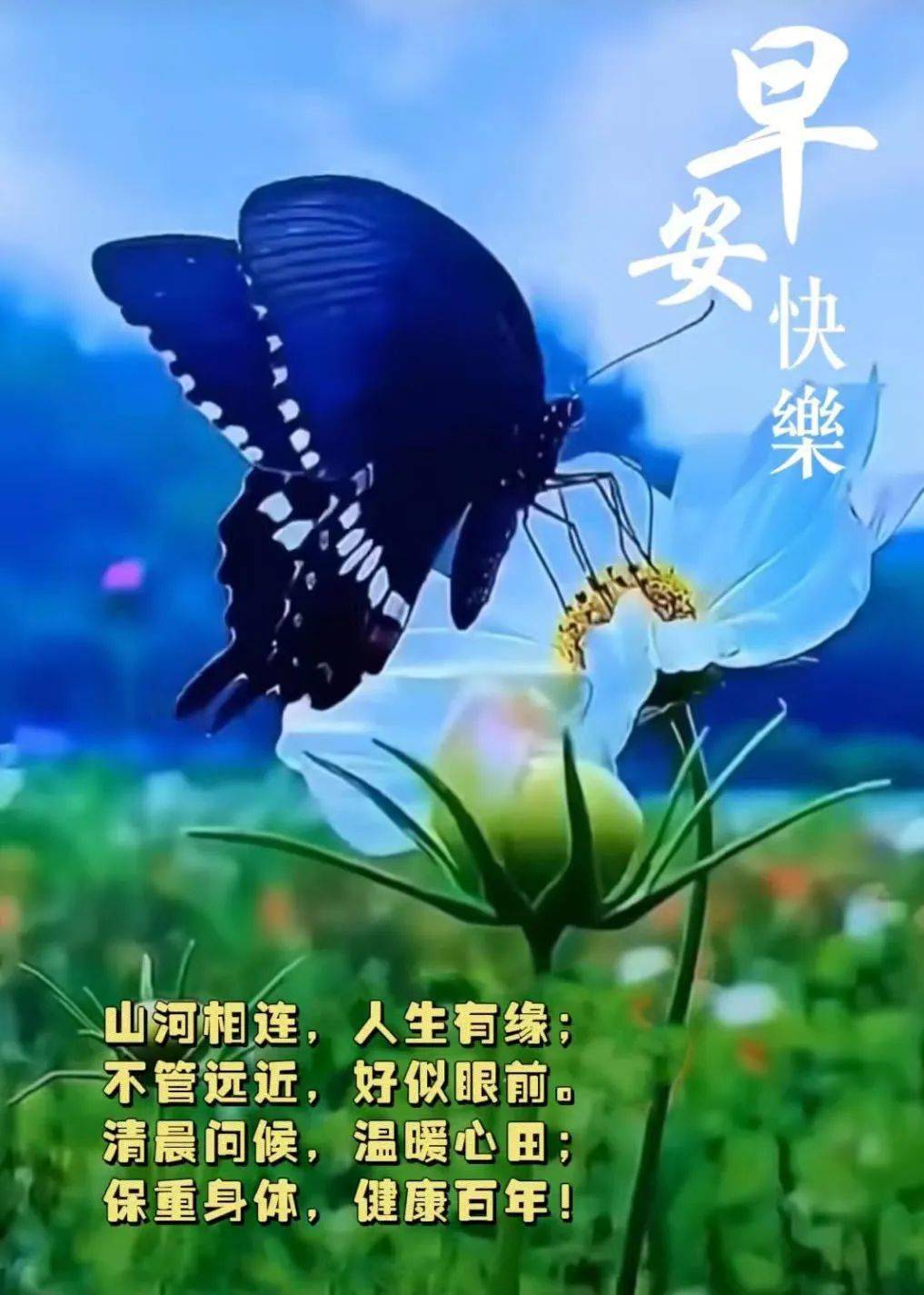 早安馨语:真诚来自心底,牵挂穿越距离,祝福每日如期!_问候_情绪_朋友