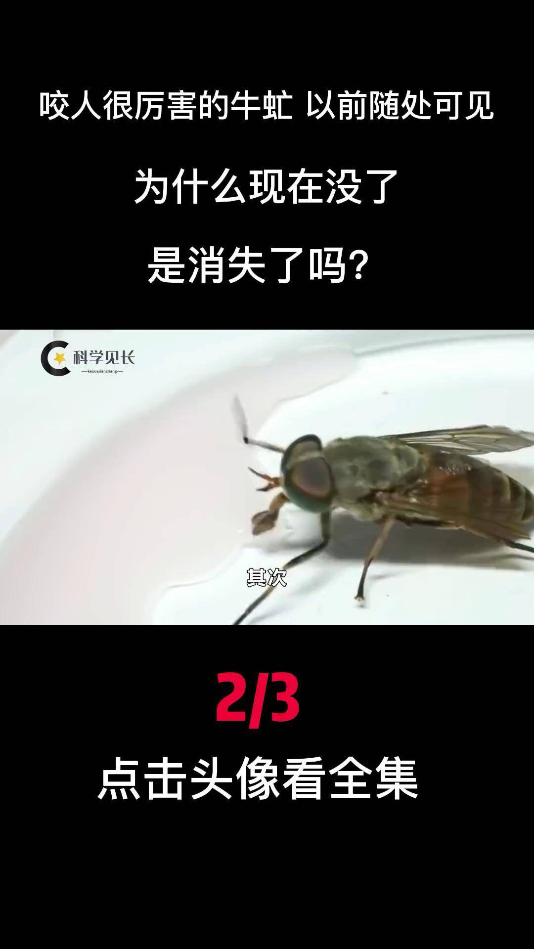 咬人很厉害的牛虻,以前随处可见,为什么现在没了,是消失了吗?