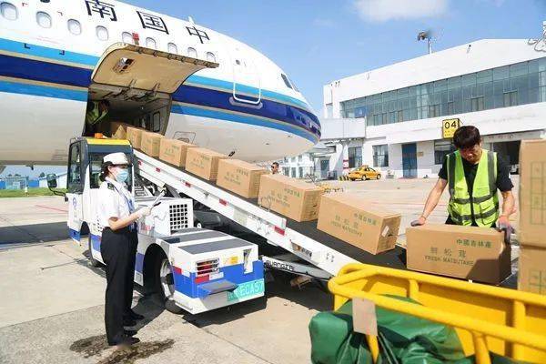 延吉海关快速验放 首批717千克延边松茸抢鲜出口_小时_进行_通关