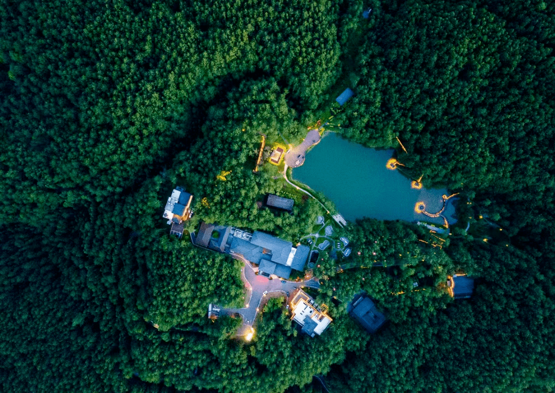 【点赞】新一批省级旅游度假区公布!巴州这个地方上榜_森林_巴中市_游客