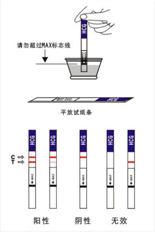 验孕试纸 怀孕图片