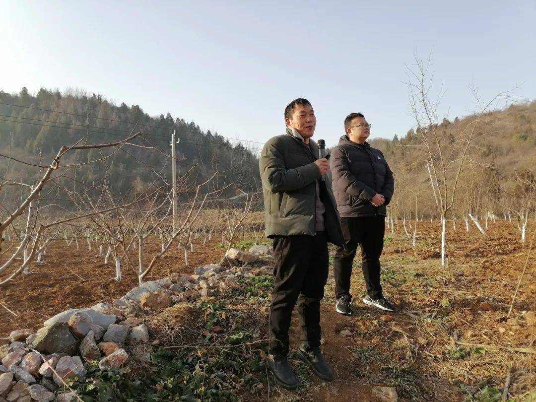 汩汩清泉润民心——追记淅川县老城镇黑龙泉村党支部书记周迅_村民_村