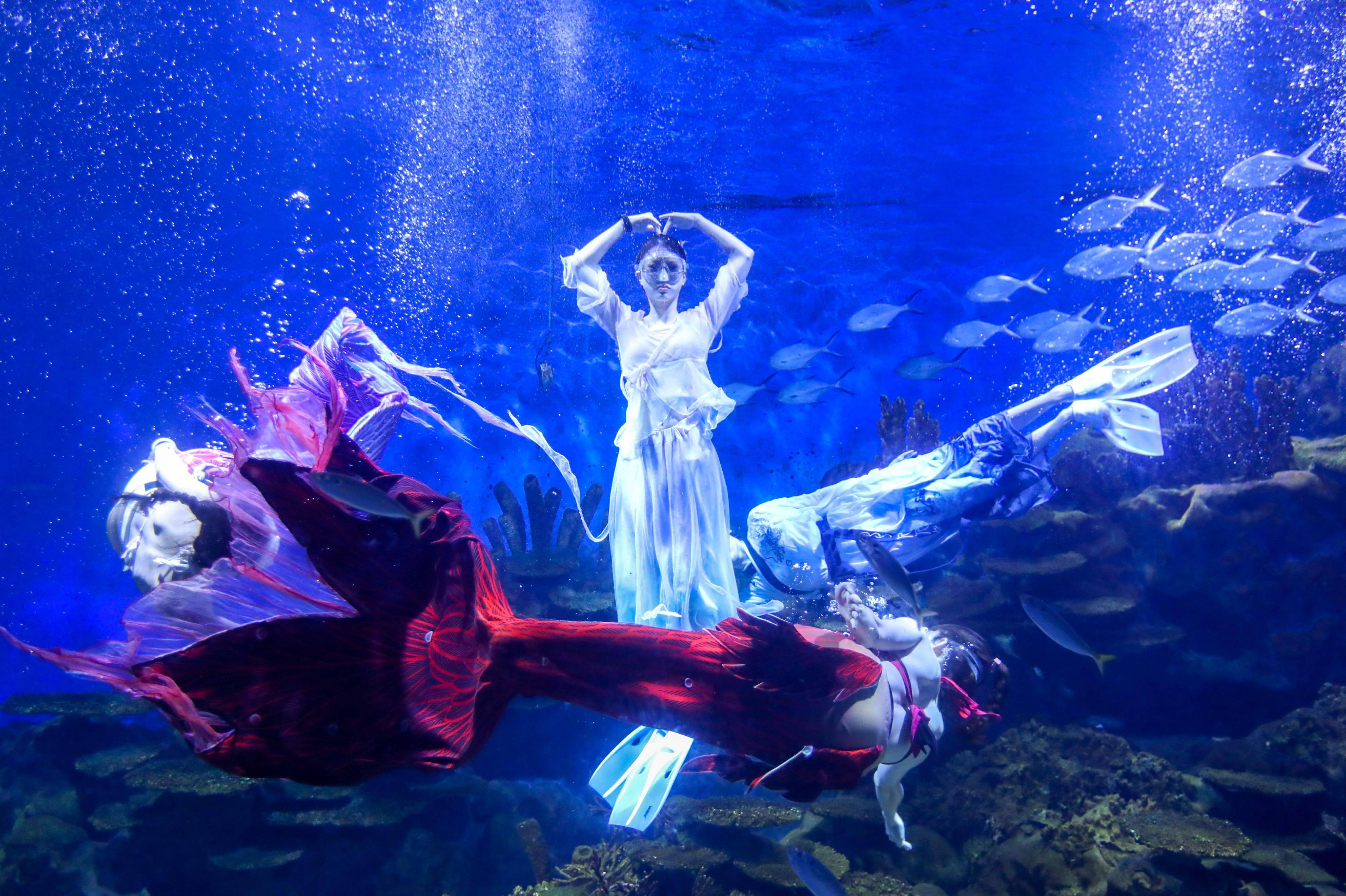 牛郎织女海底相会 武汉极地打造沉浸式七夕浪漫氛围